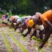4 Urgent Actions Towards a More Sustainable Food System