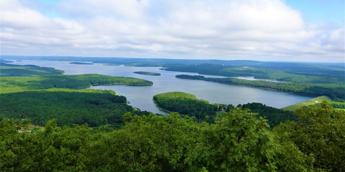Why Investors Bought the First Certified Green Bond to Protect Forests for Drinking Water