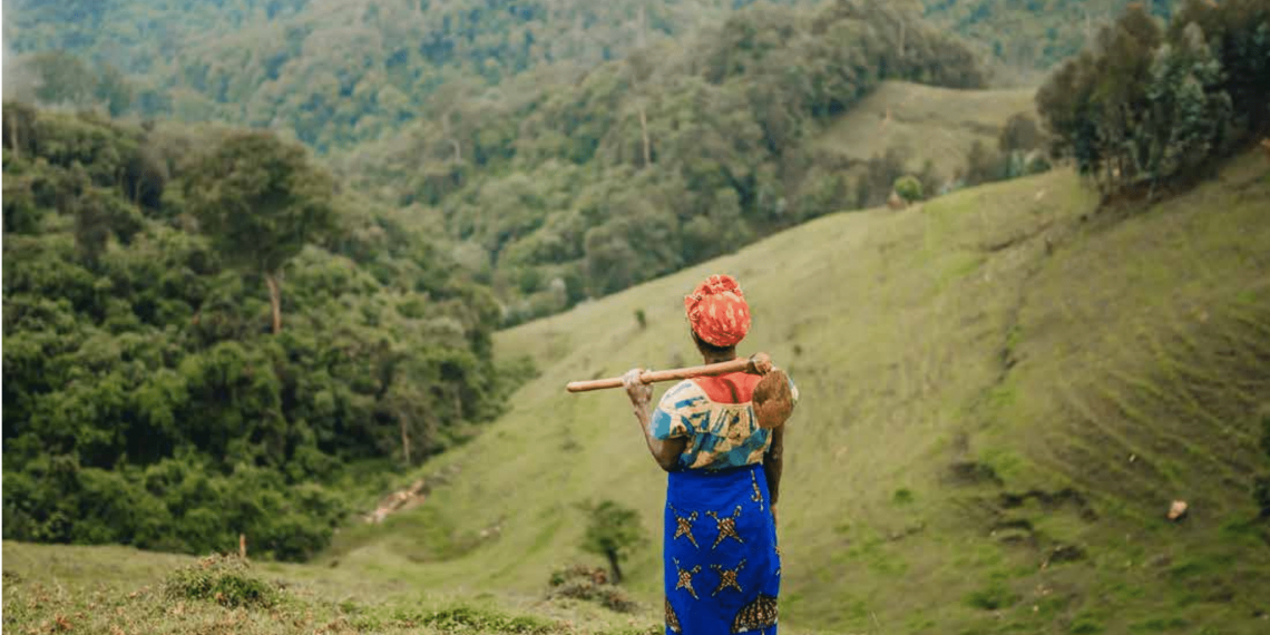 How To Monitor Restoration With Collect Earth
