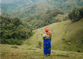 How To Monitor Restoration With Collect Earth