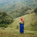 How To Monitor Restoration With Collect Earth