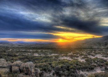 BASF to add 90 MW total of wind and solar power contracts in Texas