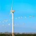 Wind farm pioneers system to protect birds in South Africa
