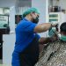 COVID-19 cases rise for first time in seven weeks: WHO |