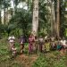 Protect forests for ‘people, planet and prosperity’, Guterres urges on World Wildlife Day |