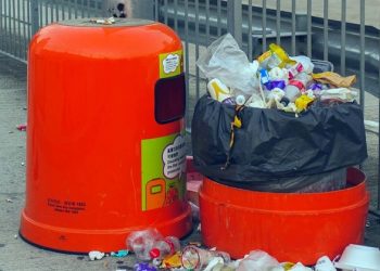 Wasting food just feeds climate change, new UN environment report warns  |