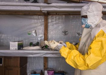 1,600 vaccinated in Guinea Ebola virus outbreak but more jabs needed: WHO |