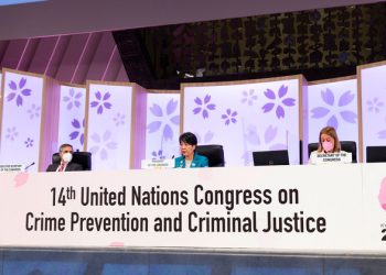 World’s crime fighters push back against COVID-19’s ‘divisions and inequalities’ |