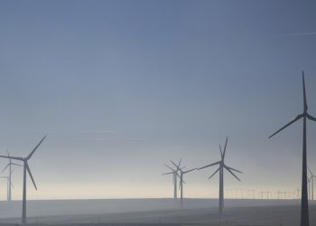 UN chief urges ‘clear and credible’ plans to achieve net zero |