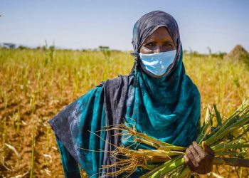 Pandemic threatens lost decade for development, UN report reveals |