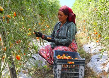 FROM THE FIELD: Preparing for disaster in Nepal