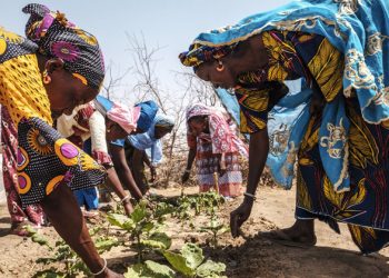 More climate action needed during ‘make-or-break year’ for people and planet  |