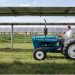 Largest “agrivoltaic” research project underway in Colorado