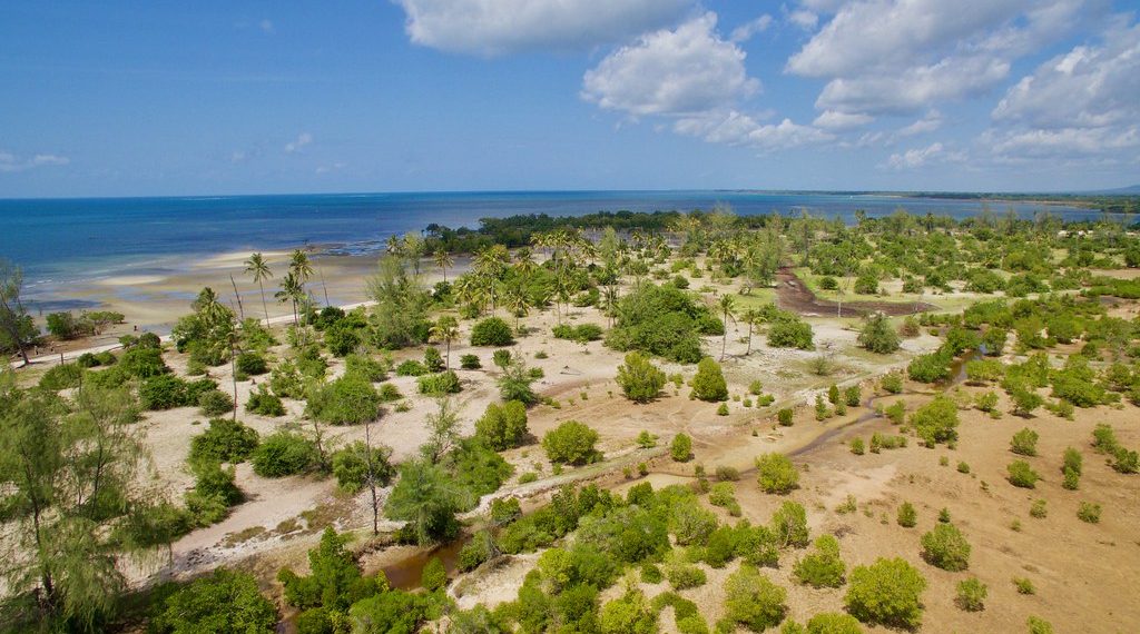 Nature-based Solutions for Adaptation Are Underfunded — But Offer Big Benefits