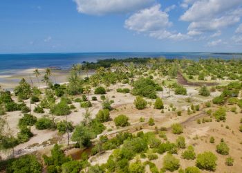 Nature-based Solutions for Adaptation Are Underfunded — But Offer Big Benefits