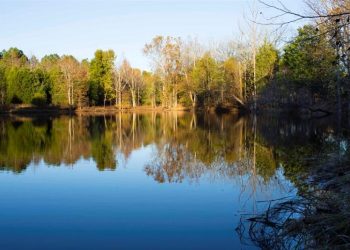 The Upstream Battle to Protect Drinking Water in North Carolina