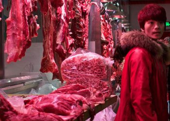 WHO and partners urge countries to halt sales of wild mammals at food markets |