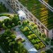 Guterres urges cities to embrace ‘generational opportunity’ for climate action, sustainable development |