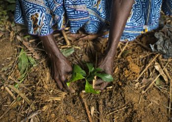 Commit to restoring the planet, UN chief says in message for International Mother Earth Day |