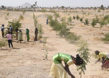 Climate change link to displacement of most vulnerable is clear: UNHCR |