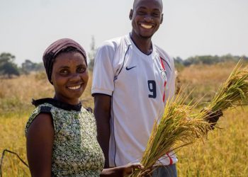 Young people key to transforming world’s food systems |