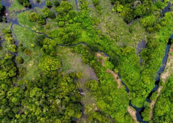 Guterres renews zero-emissions appeal to avoid falling into climate abyss |