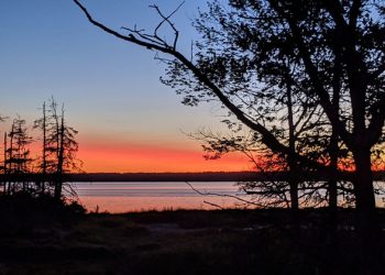 Everyone will lose unless humanity makes ‘peace with the planet’, declares Guterres |