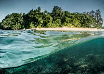 Report reveals progress on environmentally protected areas, but quality must improve |