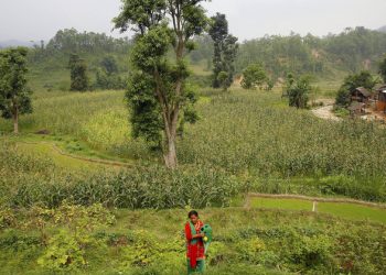 SDGs: Greater urgency needed to meet environmental goals, improved data likely key |