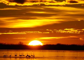 World now likely to hit watershed 1.5 °C rise in next five years, warns UN weather agency |