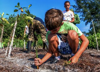 Boost investments in nature to combat climate, biodiversity and land degradation crises |