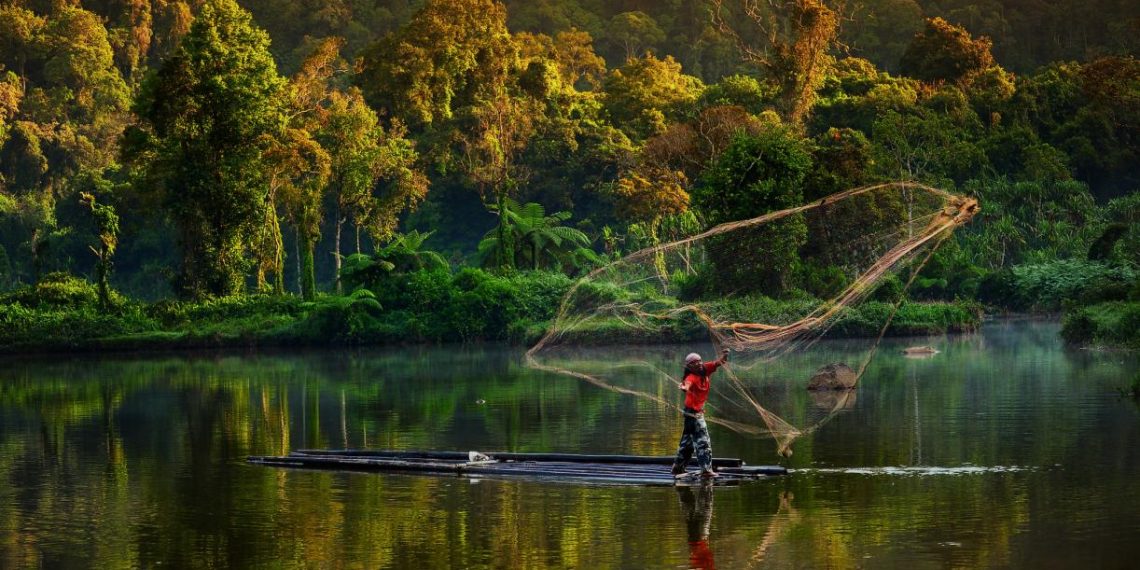 How Emerging Economies Can Pursue Green Recoveries