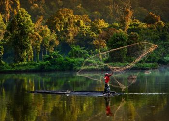 How Emerging Economies Can Pursue Green Recoveries
