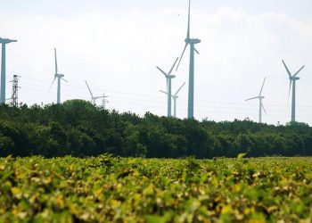 5 Ways the World Bank’s Climate Action Plan Could Go Further