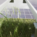 Iberdrola launches Agrovoltaics start-up challenge