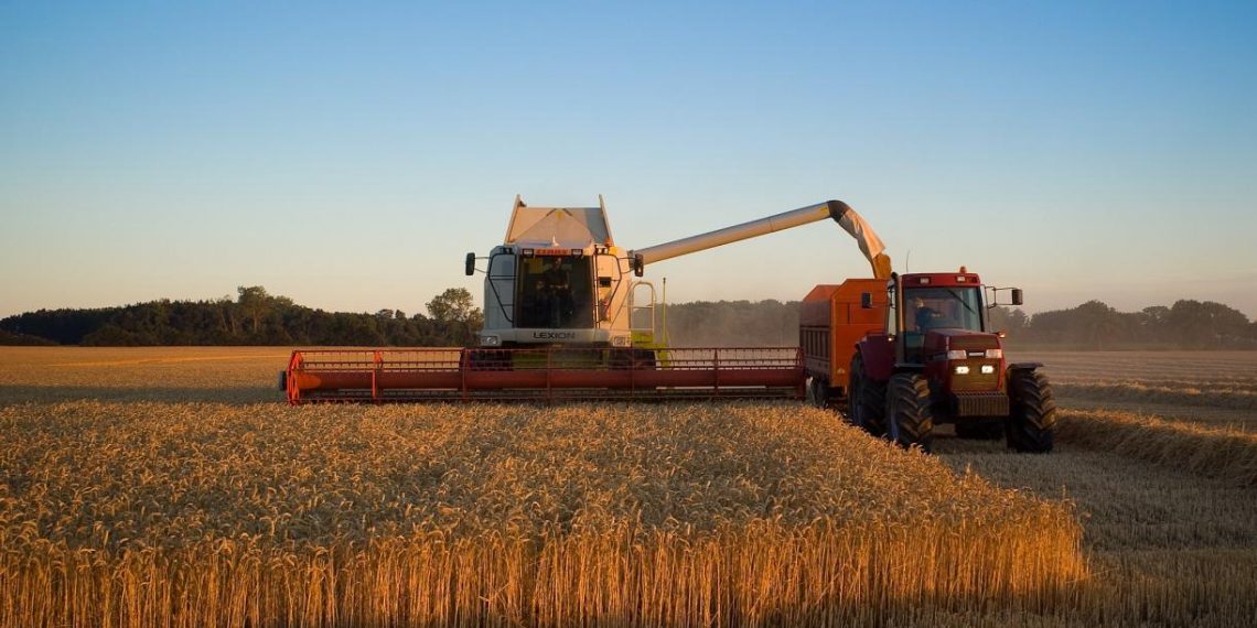 How to Make Agriculture Carbon-neutral: Lessons from Denmark