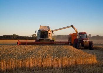 How to Make Agriculture Carbon-neutral: Lessons from Denmark