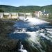 Fortum and Uniper team to manage operations of generating assets
