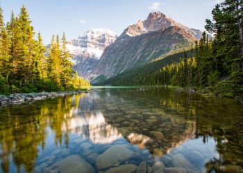 STATEMENT: Biden Administration Pledges to Conserve 30% of U.S. Lands and Waters by 2030