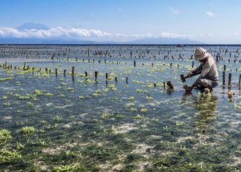 The What, Why, and How of Ecosystem Restoration