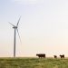 EDPR NA embarks on Blue Canyon II wind farm repowering to increase output by 30%