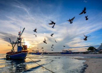 ‘Simply no scenario’ where humanity can survive on an ocean-free planet |