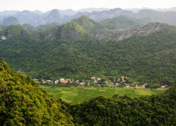 Restoration call for area ‘the size of China’ to protect falling biodiversity and food insecurity |