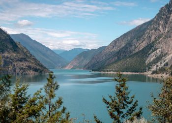 Still time to reverse damage to ‘ravaged’ ecosystems, declares UN chief, marking World Environment Day  |