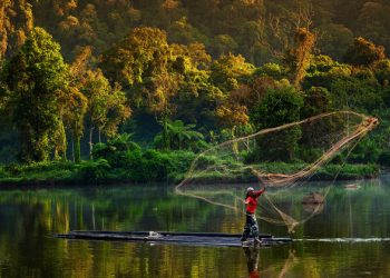 UN launches Decade on Ecosystem Restoration to counter ‘triple environmental emergency’ |