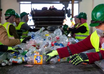 Turning to sustainable global business: 5 things to know about the circular economy |