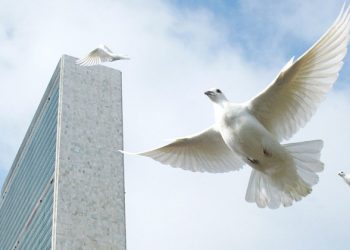 Counting down to Peace Day, UN chief urges: Stand up against hatred and care for planet  | COVID-19