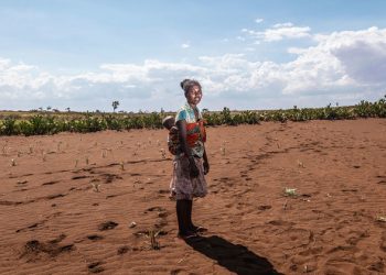 Restoring nature ‘the test of our generation’: UN General Assembly President |