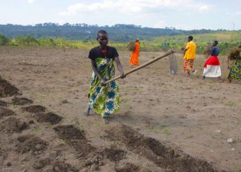 UN chief: Desertification and drought destabilizing well-being of 3.2 billion people  |