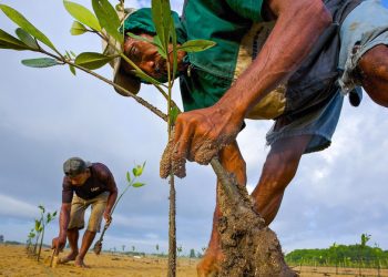 The trillion dollar climate finance challenge (and opportunity) |